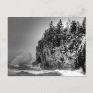 wave-10295 postcard