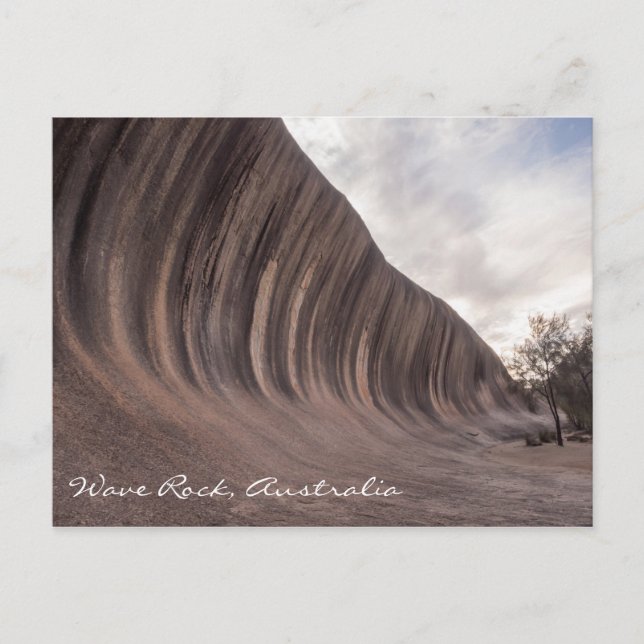 Wave Rock Australia Postcard (Front)