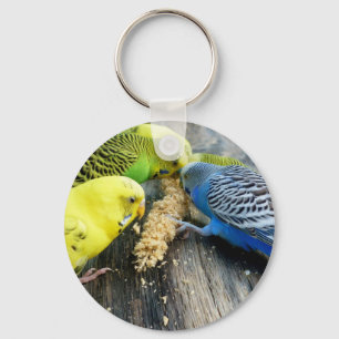 Wave tiche (Melopsittacus undulatus) Key Ring