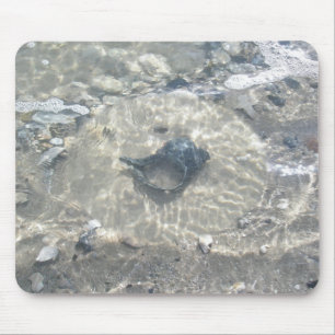 Wave-Washed Black Conch Seashell Mouse Mat