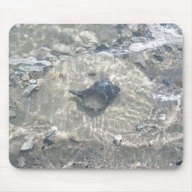 Wave-Washed Black Conch Seashell Mouse Mat (Front)