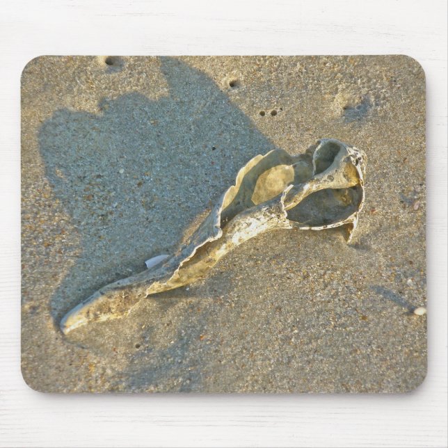 Wave-Washed Shell Cape Cod Items Mouse Mat (Front)