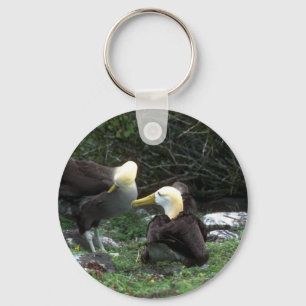 Waved Albatross In Courtship Key Ring