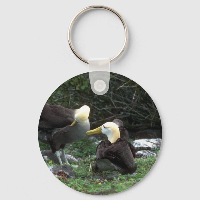 Waved Albatross In Courtship Key Ring (Front)