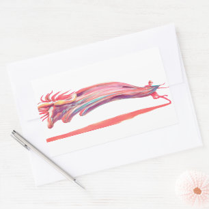 Waved Ballet Dancer Pink Art Rectangular Sticker