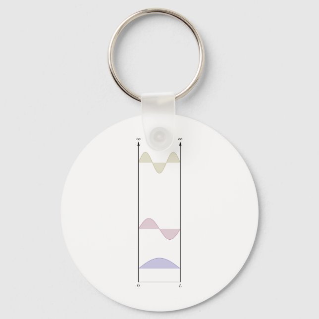wavefunctions for the infinite well key ring (Front)
