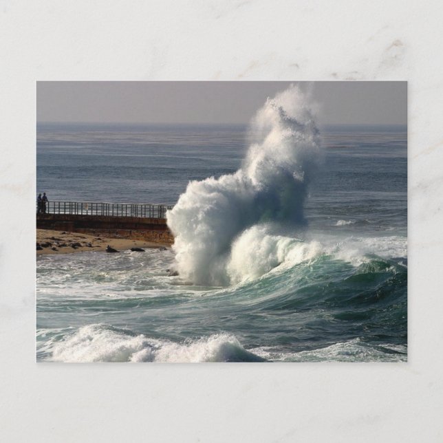 Waves Crashing Seals La Jolla Postcard (Front)