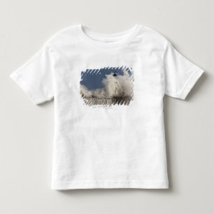 Waves Crashing Up Against A Lighthouse Toddler T-Shirt