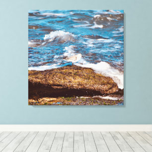 Waves on Rocky Coast shore Ocean Canvas Print