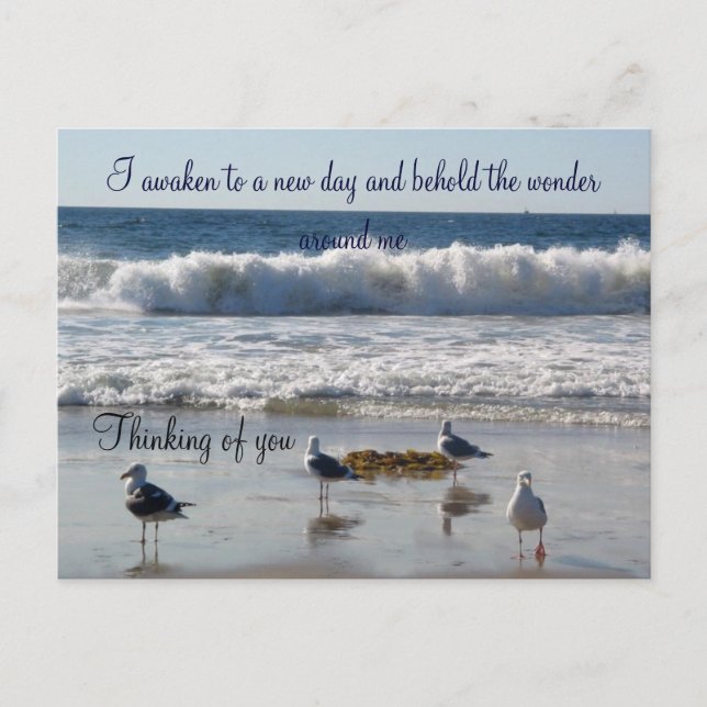 Waves & the seagulls_ Postcard (Front)