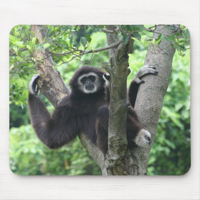 Waving monkey mouse mat (Front)