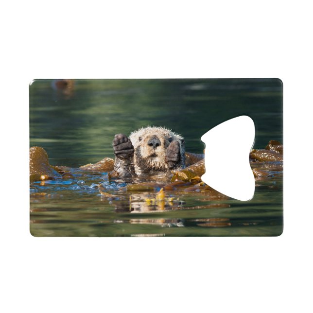 Waving Sea Otter (Back Horizontal)