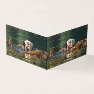 Waving Sea Otter