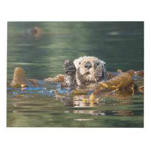 Waving Sea Otter Notepad
