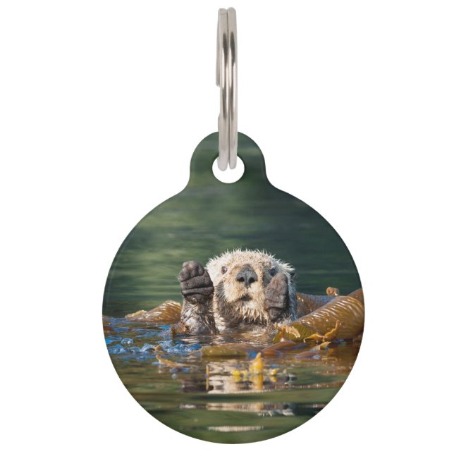 Waving Sea Otter Pet Tag (Front)