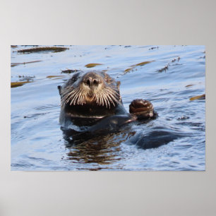 Waving Sea Otter Poster