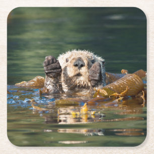 Waving Sea Otter Square Paper Coaster