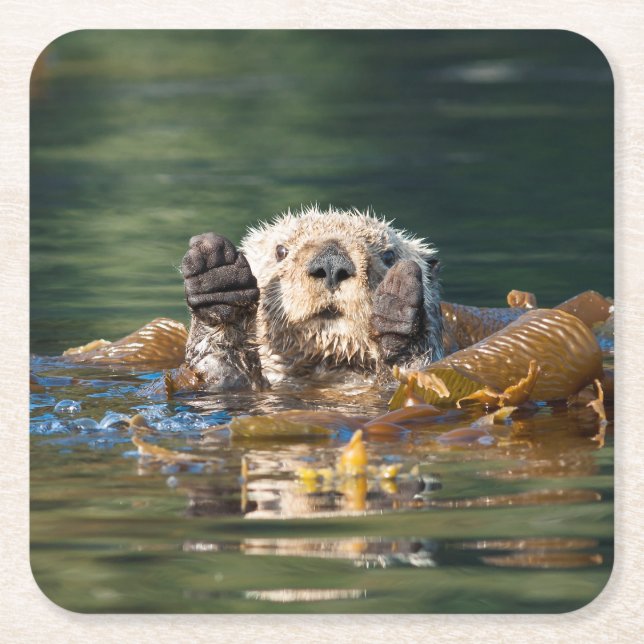 Waving Sea Otter Square Paper Coaster (Front)