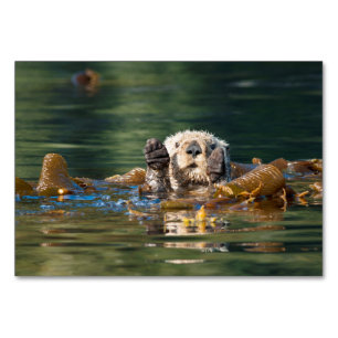Waving Sea Otter Table Number