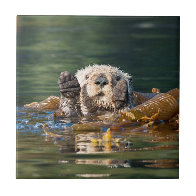 Waving Sea Otter Tile (Front)