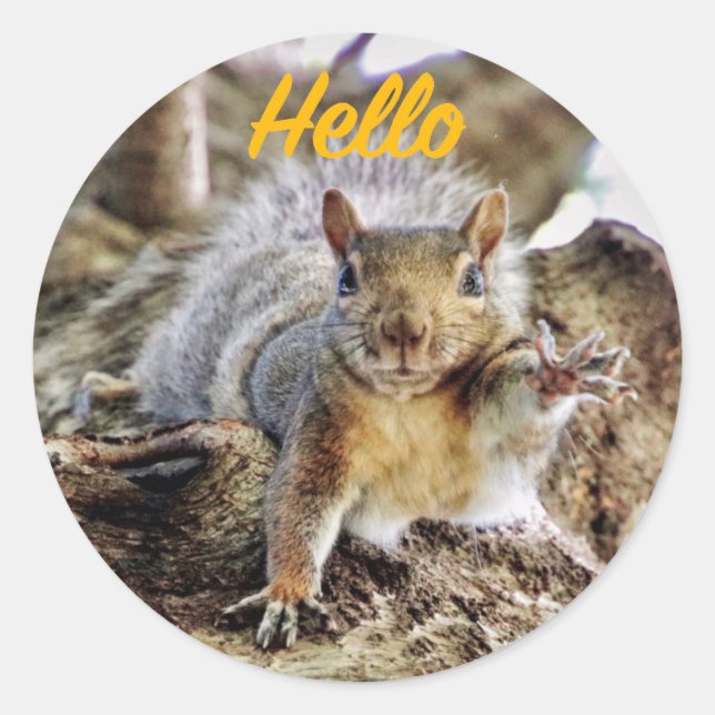Waving Squirrel Envelope Stickers (Front)