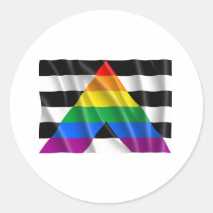 Waving straight ally flag classic round sticker