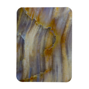 Wavy Petrified Wood Magnet