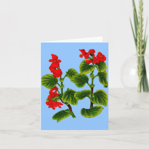 wax begonia wax begonias print card