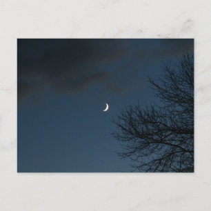 Waxing Crescent Moon In Sagittarius Postcard