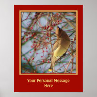 Waxwing Bird Art Create Your Own Personalised