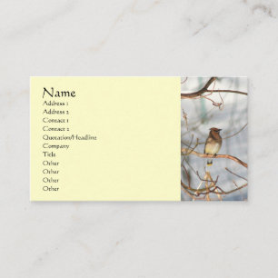 Waxwing Bird In Winter Animal Business Card