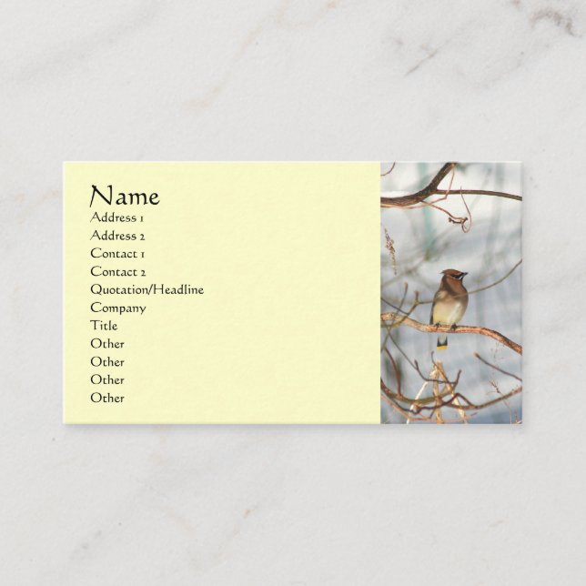 Waxwing Bird In Winter Animal Business Card (Front)