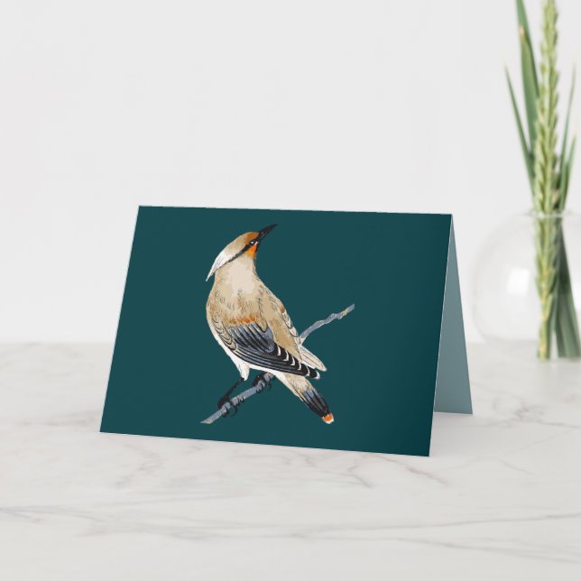 WAXWING BLANK ALL-OCCASION CARD (Front)