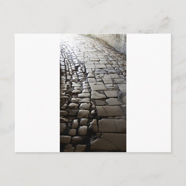 way into the light postcard (Front)