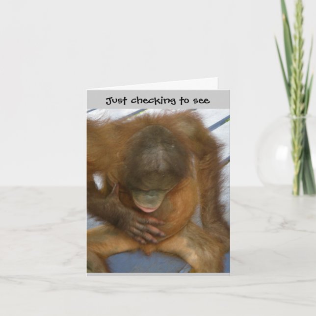 Wazzup Funny Hello to Friends Card (Front)