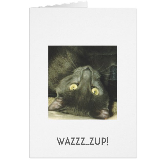 WAZZZ..ZUP! (Front)