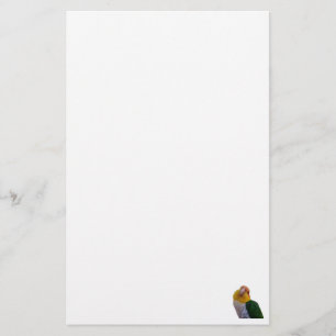 WB Caique Stationary Stationery