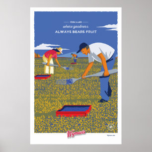 WBB Raking Poster