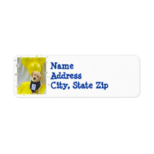 WCC Abby return address labels