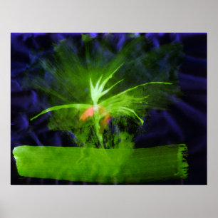 WDV - 068 - Flower Poster