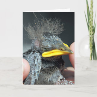 We all have bad hair days card