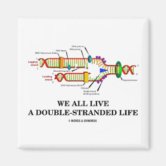 We All Live A Double-Stranded Life (DNA Humour) Magnet