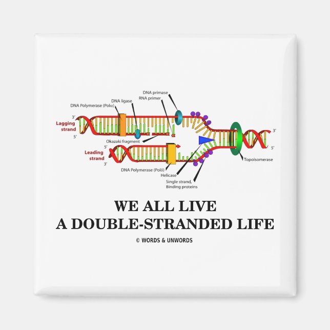 We All Live A Double-Stranded Life (DNA Humour) Magnet (Front)