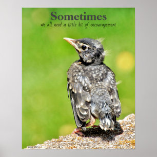 We All Need Encouragement Classroom Poster