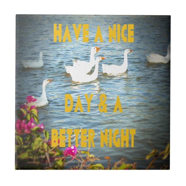 We always leave our customers happy & satisfied. tile (Front)