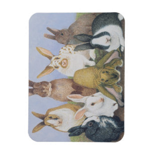 We are All Ears Magnet