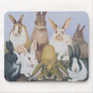 We are All Ears Mouse Mat