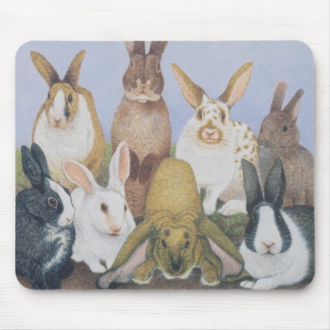 We are All Ears Mouse Mat (Front)