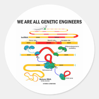 We Are All Genetic Engineers (RNA Splicing) Classic Round Sticker