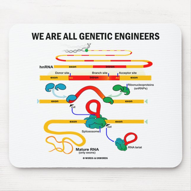 We Are All Genetic Engineers (RNA Splicing) Mouse Mat (Front)